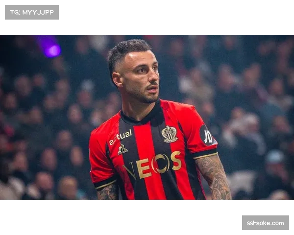 尼斯对阵布雷斯特,比赛因对方门将受伤治疗中断长达八分钟